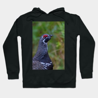 Spruce Grouse - Algonquin Park, Canada Hoodie